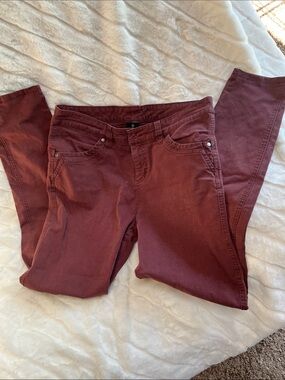 Kuhl Straight Leg Pants in Deep Burgundy